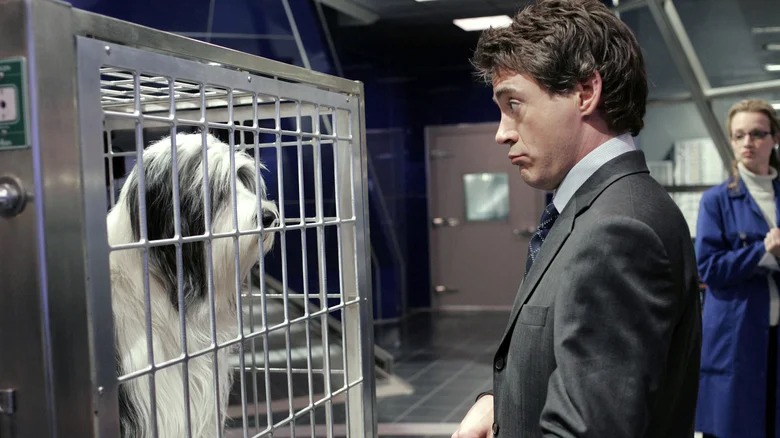 Why Robert Downey Jr. Thinks The Shaggy Dog And Dolittle Are Two Of The Most Important Films Of His Career